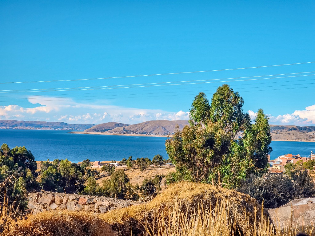 Espejo del Altiplano & Ichu Dorado